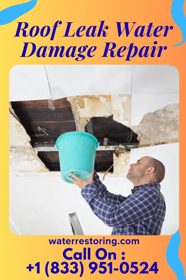 Roof Leak Water Damage Repair in Elgin, KS